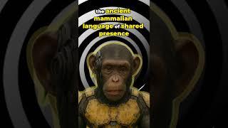 Dance, Ceremony, Entrainment, and Community
