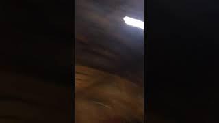 ДЕНИС САМООБОРОНА