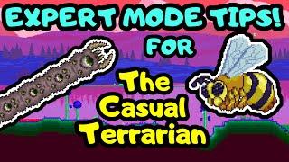 Terraria Expert Mode Guide and Tips for Beginners 3! Expert Bee Queen Guide! Expert Eater of Worlds!