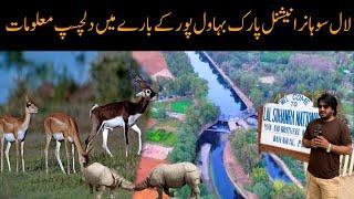 Lal suhanra National Park History | Bahawalpur | Explore Lal suhanra | Bahawalpur travel | Abid zia