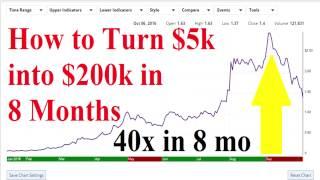 How to Turn $5k into $200k in under 8 Months