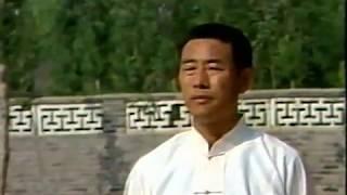 陈氏太极拳新架一路: 王西安 - Wang Xian Taijiquan Xinjia Yilu (1981)