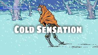 Cold Sensation | Music From the Doctor’s Office, Room 120