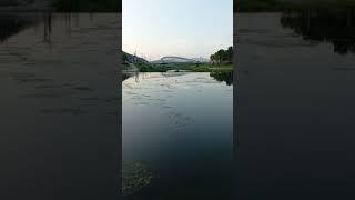  오리의 아침 일과 및 식사    