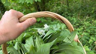 Lacto Fermented Wild Garlic Stems