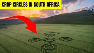 The Unexplained Patterns In Crop Circles In South Africa