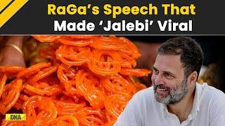 Haryana Assembly Elections 2024: Why ‘Jalebi’ Went Viral? Watch Rahul Gandhi's Speech To Know