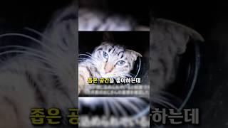 하수구가 위험한 이유?