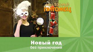 НОВОГОДНИЕ ПРАЗДНИКИ: 5 вещей, которые нельзя делать