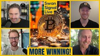 Why Bitcoin is Poised to Dominate in 2025