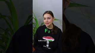 Кремний + фтор =  #егэ2024 #егэхимия #химияегэ #егэ #химия #подготовкаегэ