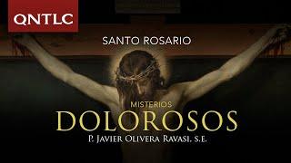 Santo Rosario con el P. Javier Olivera Ravasi, SE: Misterios Dolorosos