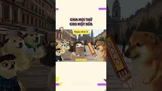 Chia mọi thứ cho một nửa | Cheems Nhân Văn