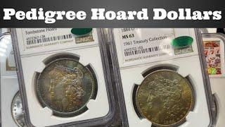 Pedigree Dollar Hoards & Collections - New Purchases