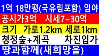 1억 (공시가3억 시세7~30억) 십~만~평 싸고 큰~임야(가로1.2km 세로1km) 남향 차진입 자연인 전원생활 숲6차산업 약용재배 땅과함께(새희망을)경매임야 공매임야 나도땅주인