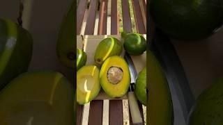 Large Avocados from Homestead Florida Big size Miami Tropical Fruit Fruits