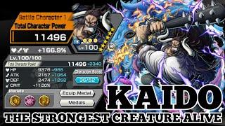 KAIDO THE STRONGEST CREATURE ALIVE GAMEPLAY | ONE PIECE BOUNTY RUSH | OPBR