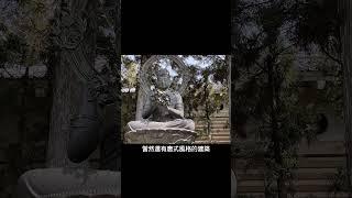 日本京都真言宗寺廟巡禮，駱師父 趴趴走 #shorts ⏩️完整版請至 Youtube 觀看