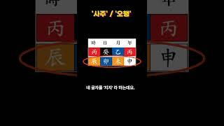 사주 오행의 분포가 고르면 인생도 고르다