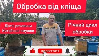 Річний цикл обробки від кліща, китайські смужки, народні методи, препарати-вбивці бджіл