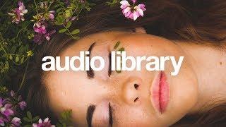 Dream to live – ZAYFALL (No Copyright Music)