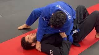 Knee on belly submissions #bjj #jiujitsu #brazilianjiujitsu #blackbelt