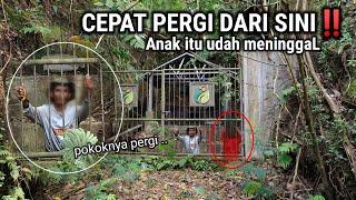 PENAMPAKAN SOSOK MISTERIUS!! 15 TAHUN TINGGAL SENDIRI BIKIN RUMAH DI HUTAN ANEH