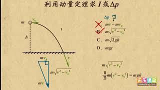 06利用动量定理求力的冲量或动量变化量     动量守恒      高中物理