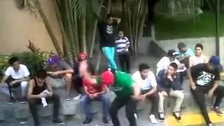 Harlem Shake Family weed