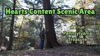 Hearts Content Scenic Area ~ A True Pennsylvania Treasure