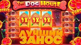 ОГРОМНЕЙШИЙ ЗАНОС СОБАК НА 250.000К В THE DOG HOUSE | МОЙ ЛУЧШИЙ ЗАНОС !!!