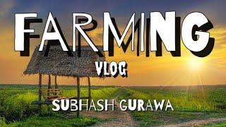 Full Day Village Life at Our Farm I FARMING VLOGE | SUBHASHGURAWA| FARMERS |PRITAMPURI VLOGS