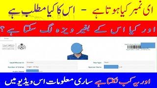 What Is E Number For Visa|E Number Kiya Hota Hai|What Is E Number #Aqibkhaliltech