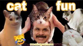 പൂച്ച ser ഒരു കില്ലാടിതന്നെ | cat fun malayalam troll video |funny cats |sarath editzz