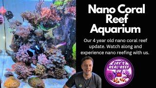 4 Year Old Red Sea Max Nano Coral Reef Aquarium