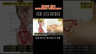 어깨의 견우혈(肩髃穴)와 견료혈(肩髎穴) 찾기 [지압신공]