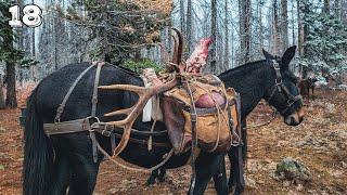 A Big Bull Elk Hunt of a Lifetime | Horseback Backcountry Elk Hunt