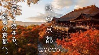 Sub) Travel to Kyoto in the best time Kyoto in autumn is the most beautiful ｜Japan