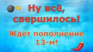 Деревенский дневник очень многодетной мамы \ Ну всё, свершилось! Ждёт пополнение 13-м! \ Обзор