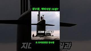 프랑스의 핵잠수함! 정체는..?