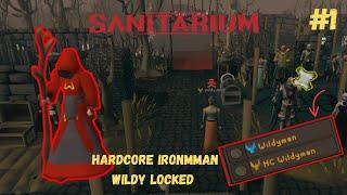 We are Wildy Locked, but as a hardcore ironman #1 - Sanitarium RSPS