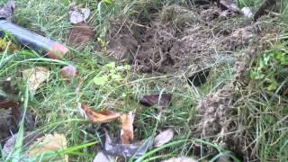 Two Silvers But One Was Big - How Many Will We Find - Minelab E*trac Got A NEW Screen
