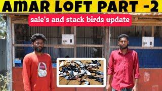 AMAR loft Sales birds update | Karna pura | Sadha pura | Roller pigeon