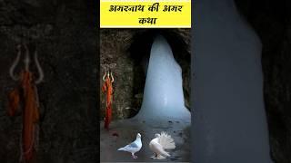 Amarnath Gufa Ka Rahsey || रहस्य  || Amar Katha #questbhakti #amarnath