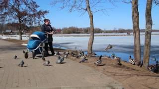 "Уникальная глубинка". Валдай, пристань (видеонарезка)