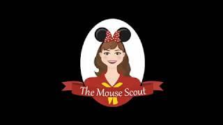 About The Mouse Scout