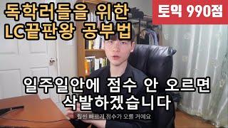 이대로 7일만 해보세요, 실패 없는  토익 LC 공부법