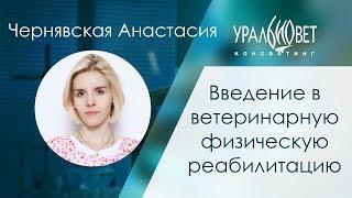 Введение в ветеринарную реабилитацию. Чернявская Анастасия #убвк_реабилитация