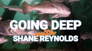 DESTIN BRIDGE -  SCUBA DIVE - BEHIND THE SCENES w/ REDFISH CINEMATOGRAPHY- ShaneOgoeS DEEP