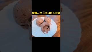 일주일만에 -3kg 쭉 빼버리는 초코아이스크림 #다이어트식단 #다이어트레시피